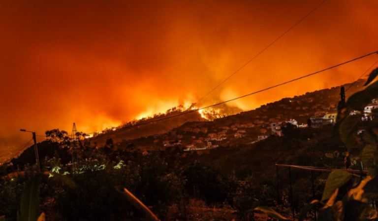 Coordinate Climate Strategy Through an Institute for Climate Disaster Resilience