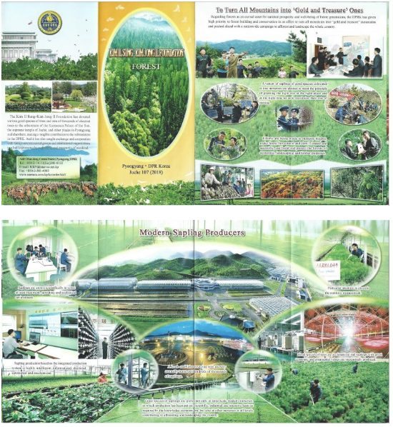 The North Korean Economy—June 2019: Kim Jong Un’s Reforestation Plans: The Dilemma of Forests Versus Food and Fuel
