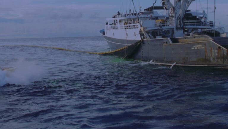 Shining a Light: The Need for Transparency across Distant Water Fishing