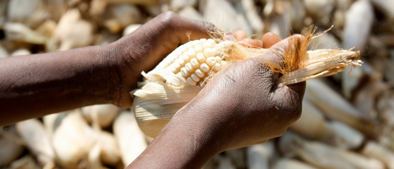 In Defense of Food Security Roundtable Reports