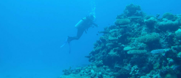 Science Diplomacy and Dispute Management in the South China Sea