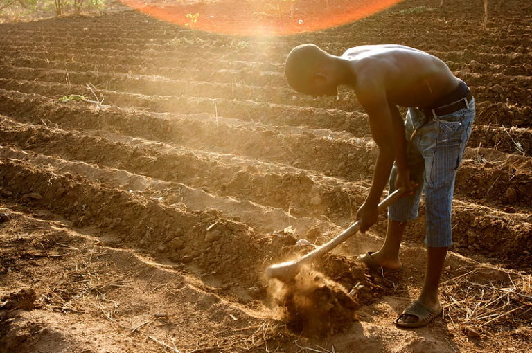 Ensuring the Future of Food Security