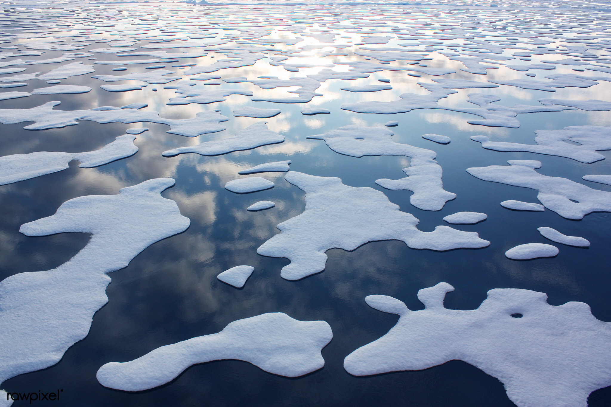 Arctic