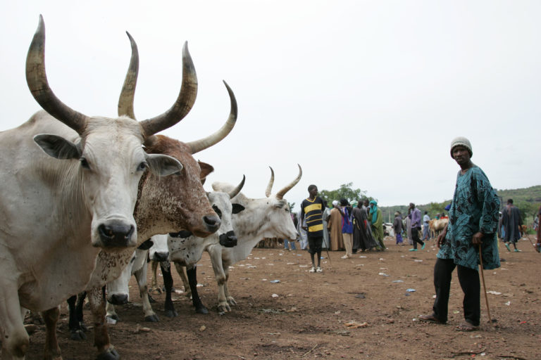 The Erosion of Pastoralism in the Sudano-Sahel