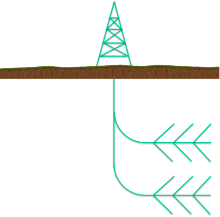 Figure 2. Horizontally spread laterals