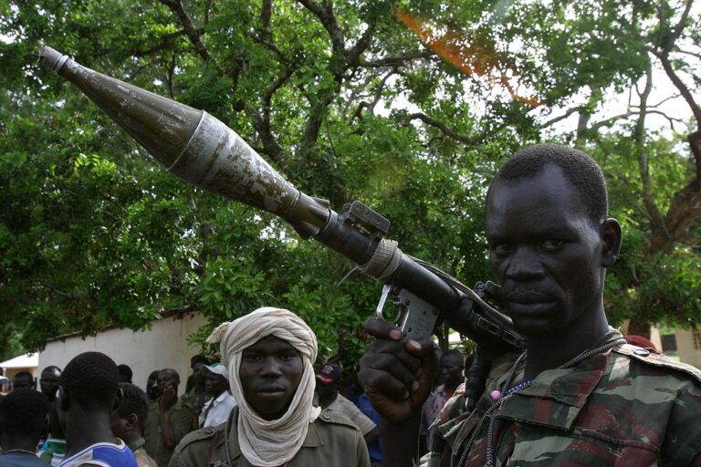 How Arms Proliferation Is Driving Herder-Farmer Conflict in the Sahel