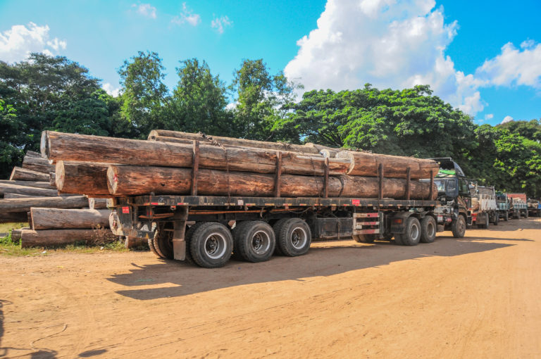 Environmental Security February News Update
