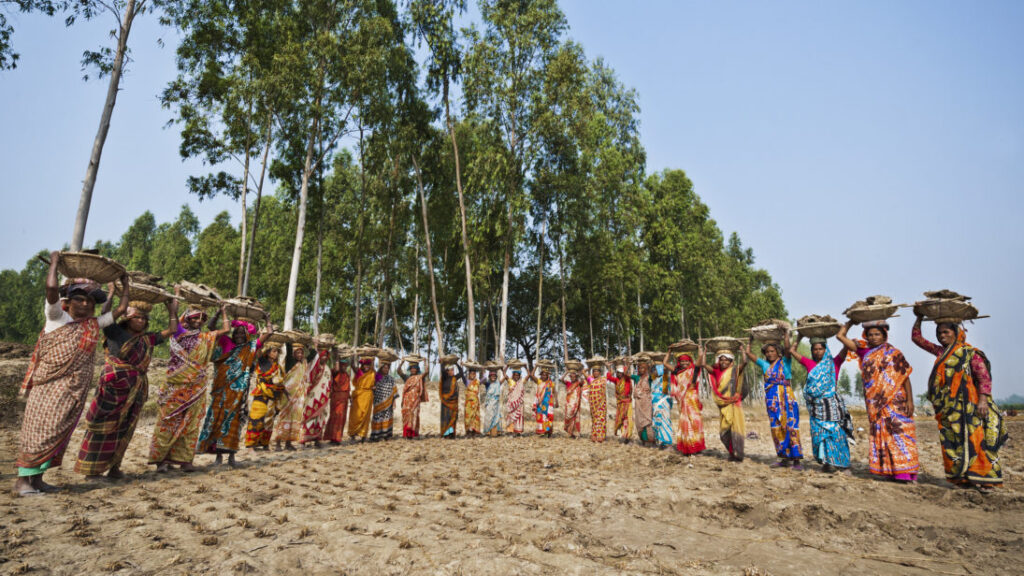 Tongaradha village, Bangladesh