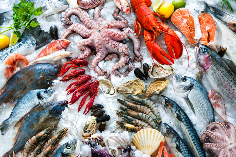Seafood Traceability Practitioner’s Workshop Summary Report