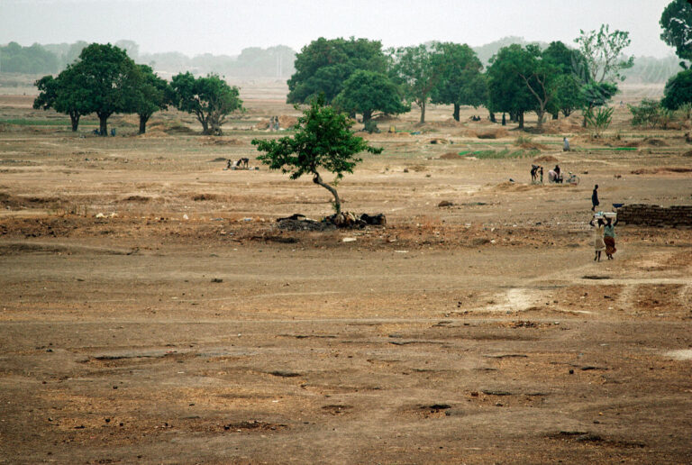 Climate Stress and Civilian Targeting in the Sahel: Between Violence and Opportunity