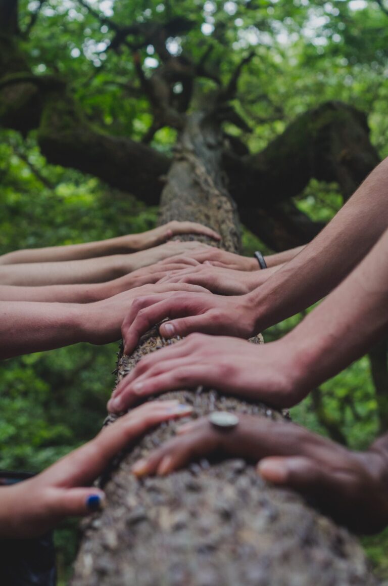 Upcoming Report Launch – Rethinking Global Cooperation: Three New Frameworks for Collective Action in an Age of Uncertainty