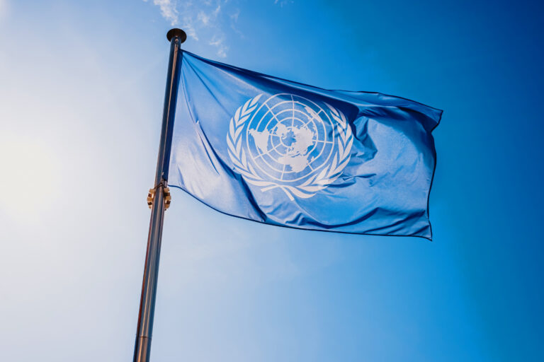Preparing a UN Declaration on Future Generations