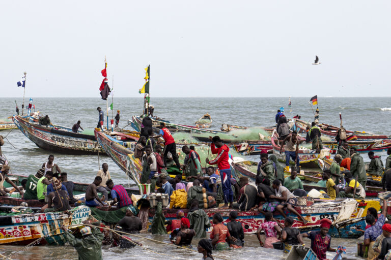Charting a Blue Future for Cooperation between West Africa and China on Sustainable Fisheries