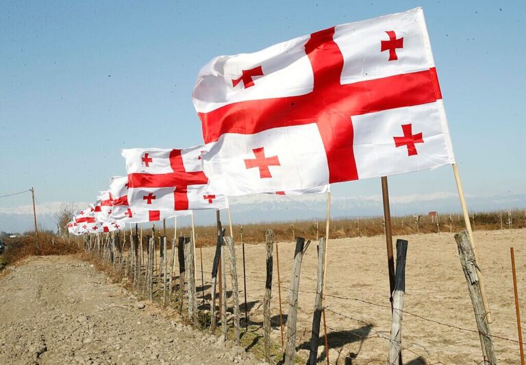 Georgian and US Elections: Defining the Next Chapter for the South Caucasus
