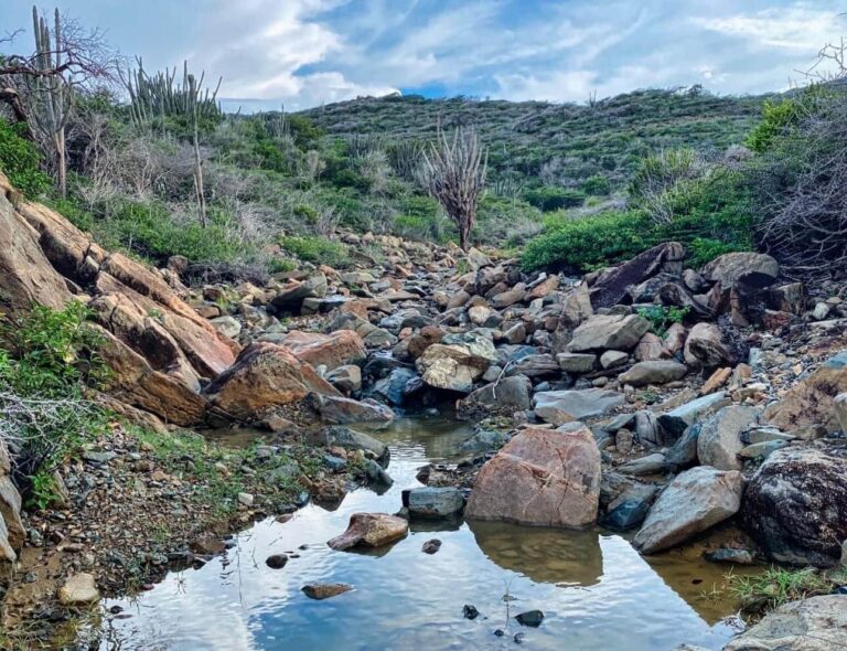 CORVI: Measuring Multidimensional Climate Risks in Aruba
