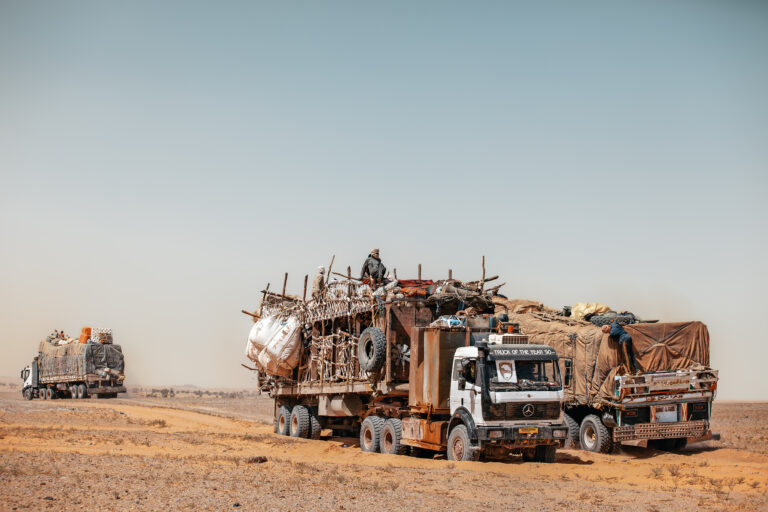 Uncovering the Roots of Crisis in the Sahel