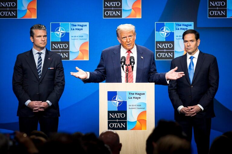 Will U.S. Allies Hedge? Should They?