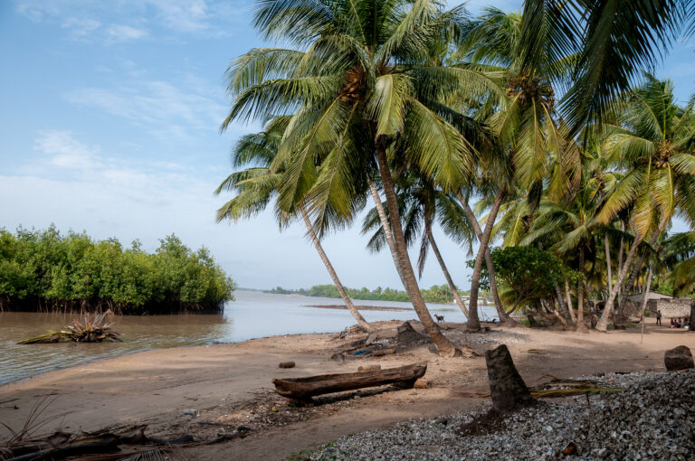 Southward Creep: The Sahel Insurgency Reaches Coastal West Africa