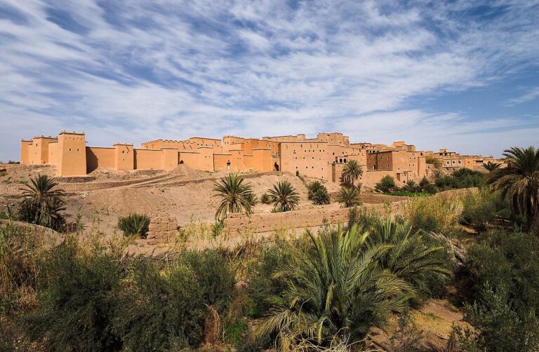 North Africa Weekly: June 24, 2026