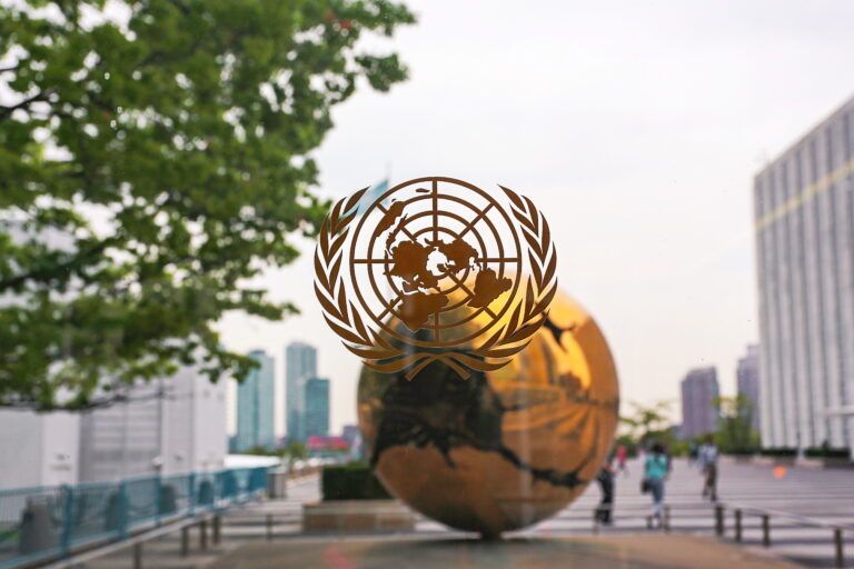 The Orphan of the Summit of the Future: The Declaration on Future Generations