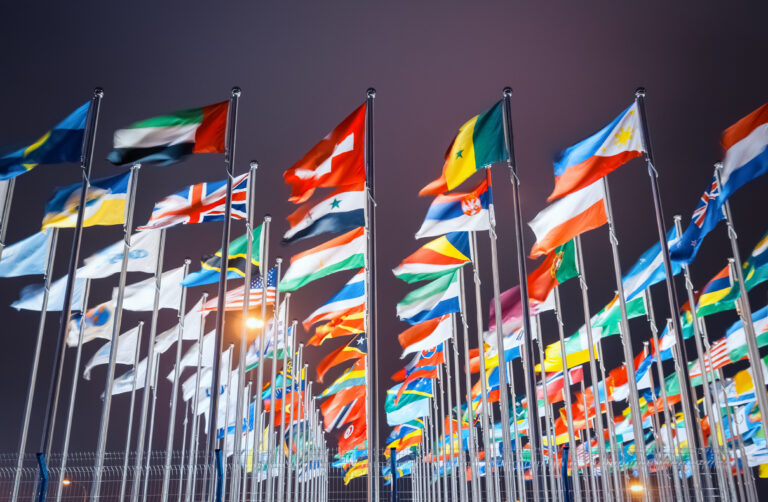 The Nation Is Not Alone. We Need Reflexive Multilateralism